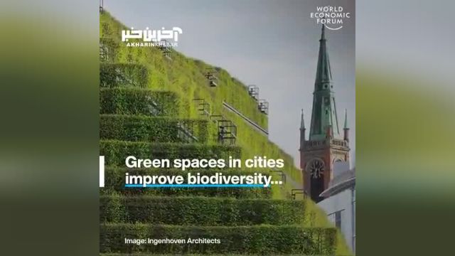 تصاویری زیبا از بزرگترین فضای سبز اروپا