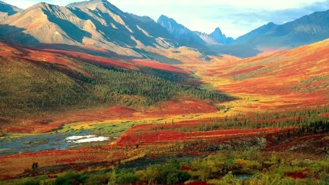 زیبایی طبیعت کانادا را با تماشای این ویدیو خواهید دید!