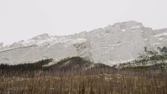 مناظر زیبای اوایل زمستان و حیات وحش کانادا | فیلم آرامش در طبیعت