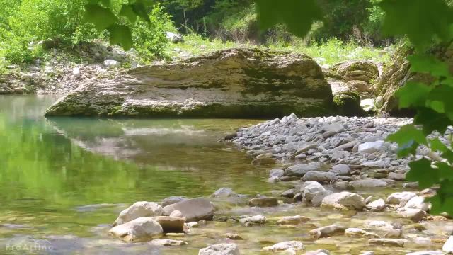 8 ساعت آهنگ آرام پرندگان در رودخانه کوهستانی | صدای فوق العاده آرام بخش طبیعت