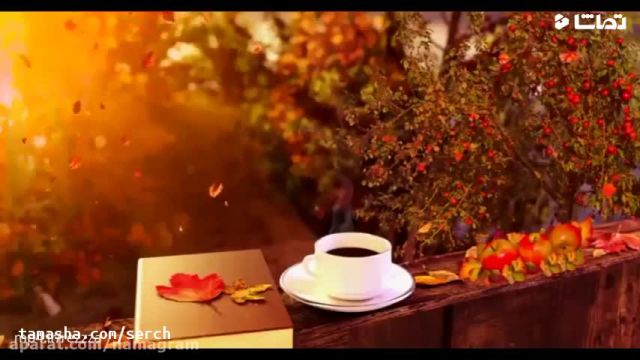 ویدئو پاییز زیبا و دلنشین/فصل عاشقی