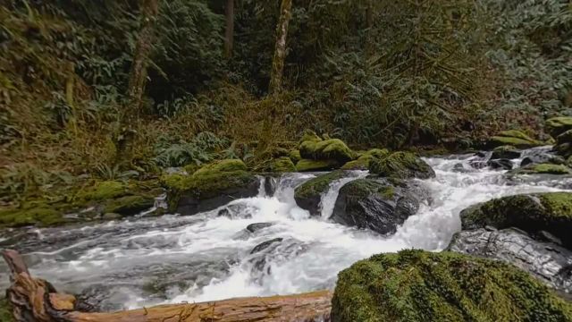 آرامش طبیعت مجازی | سنگ های رودخانه اسکاگیت، ایالات متحده آمریکا