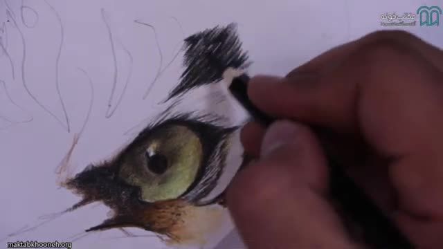 آموزش ساده و حرفه ای کشیدن حیوان با تکنیک مداد رنگی - قسمت 3