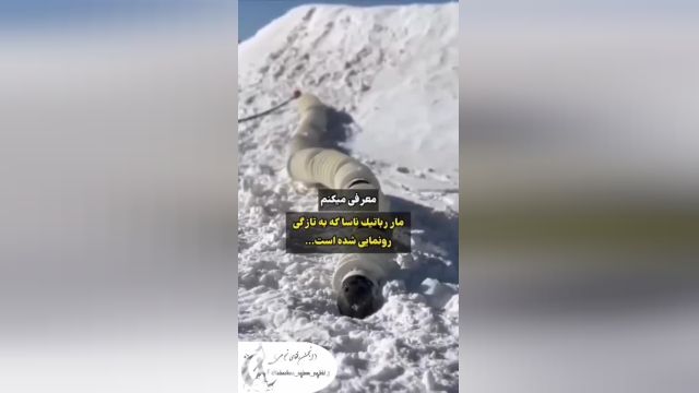 مار رباتیک ناسا می خوان بفرستن...