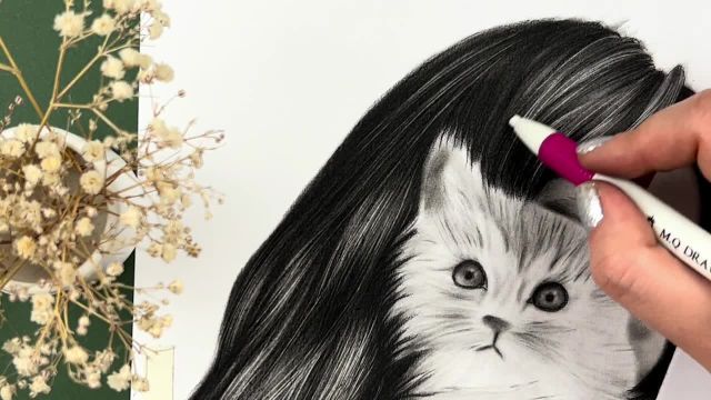 آموزش نقاشی سیاه قلم هایپررئال : آموزش طراحی مو و گربه