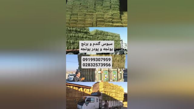 فروش یونجه / فروش سبوس