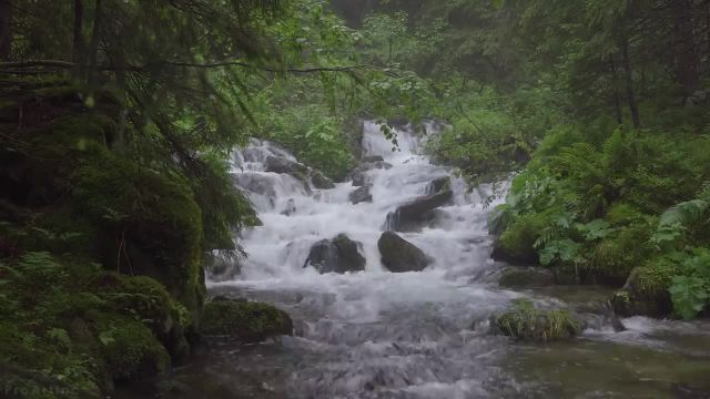 صدای رودخانه جنگلی | 8 ساعت ویدیوی منظره طبیعت آب کارپات، اوکراین | قسمت 2