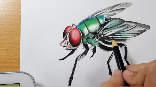 نقاشی هایپررئال زنبور با ماژیک و مداد رنگی (آموزش تصویری)