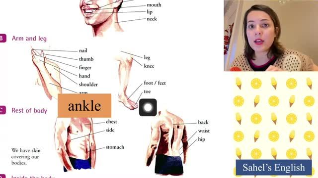 آموزش واژگان انگلیسی اجزای بدن | کلمات کاربردی انگلیسی سطح مبتدی | درس 3