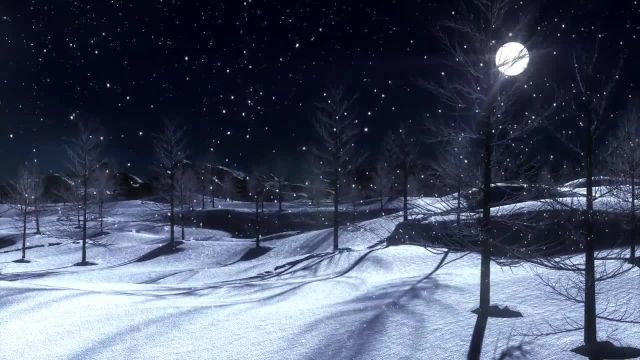 بارش برف زمستانی HD | استوک فوتیج رایگان