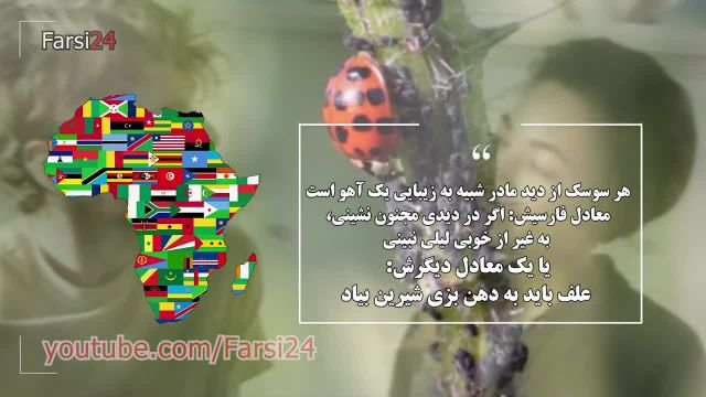 12 ضرب المثل جالب و معروف از کشورهای مختلف