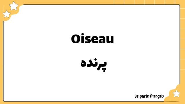 یادگیری فرانسه به زبان ساده - لغات فرانسوی با تلفظ فارسی - جلسه هفدهم