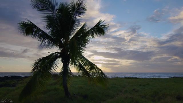 8 ساعت صدای آرام اقیانوس برای آرامش و خواب خوب | درختان نخل استوایی در غروب آفتاب