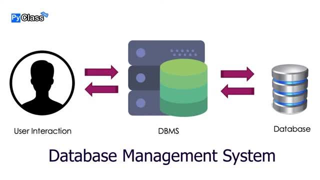 پایگاه داده چیست؟ | کاربردها و فواید DBMS در برنامه نویسی