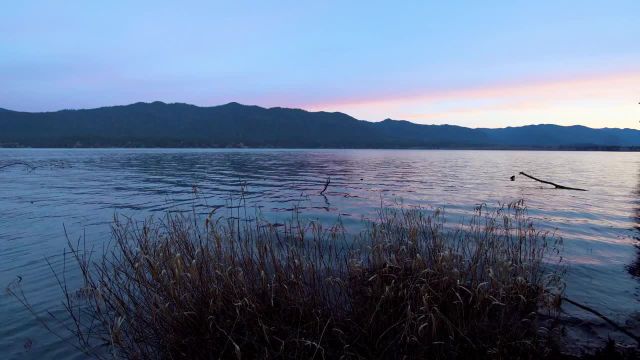 ویدیوی آرامش از بخش دریاچه QUINAULT با کیفیت 4K UHD | پارک ملی المپیک