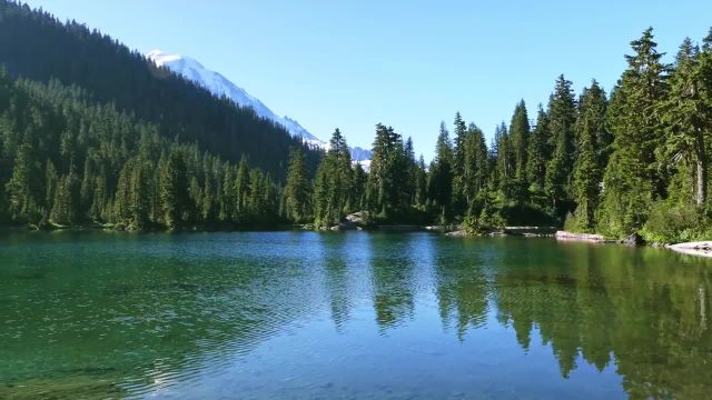 پارک ملی کوه رینیر 4K | فیلم مستند طبیعت | تریلر 1