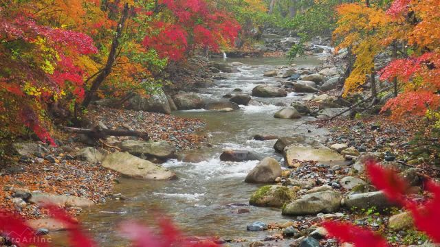 صدای آرام رودخانه برای آرامش و خواب عمیق | رنگ‌ های پاییزی و رودخانه کوهستانی
