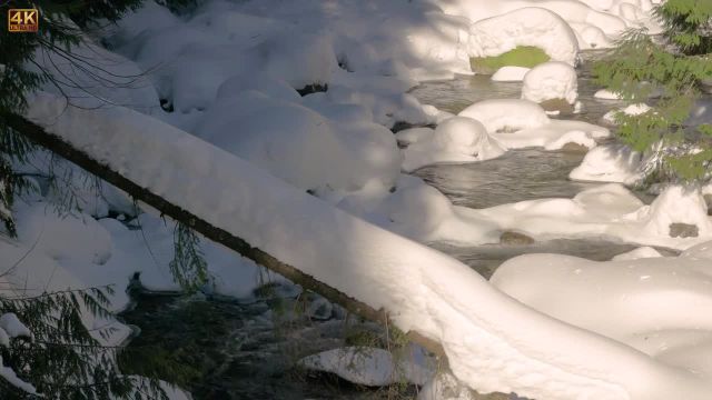 مناظر زیبای زمستانی با کیفیت 4K | آبشار فرانکلین در منطقه اسنوکوالمی | تریلر 46