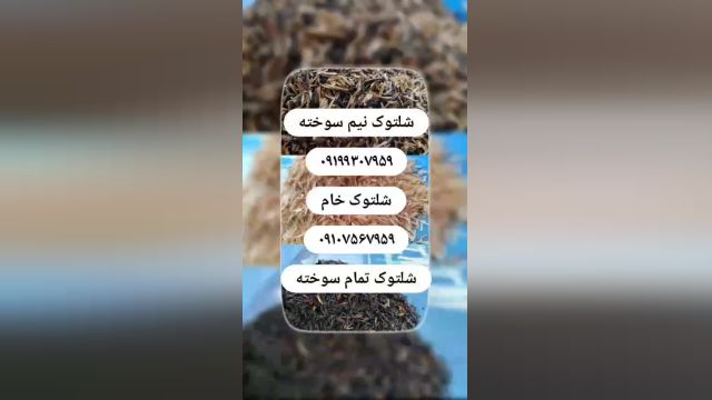 فروش شلتوک / شلتوک