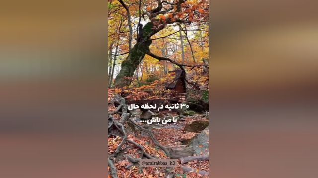 پاییز آرامش بخش