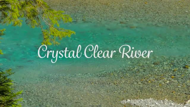 منظره آرامش بخش رودخانه با صداهای گوش نواز طبیعت 4K | تریلر ویدیویی 25
