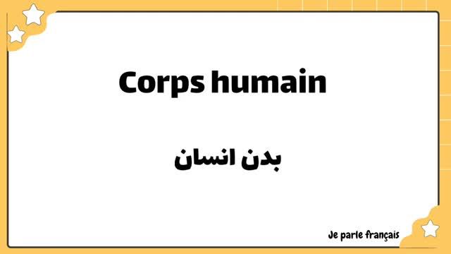 آموزش زبان فرانسه از صفر | یادگیری 300 کلمه فرانسوی در 30 روز | جلسه هشتم