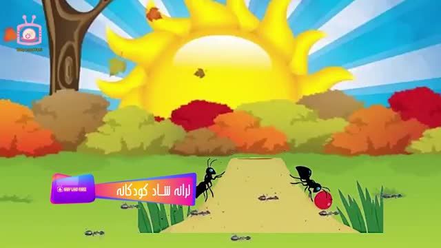 ترانه کودکانه | آهنگ کودکانه | ترانه مورچه های کوچولو