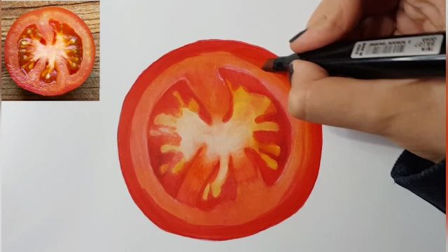 آموزش نقاشی هایپررئال مداد رنگی و ماژیک (گوجه فرنگی)