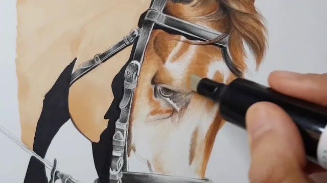 آموزش کشیدن سر اسب با ماژیک و مداد رنگی
