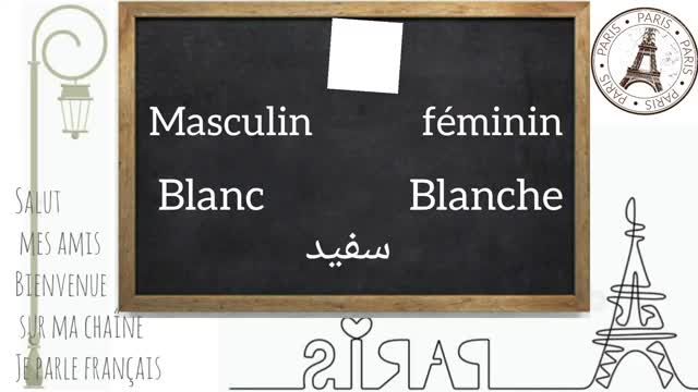 آموزش زبان فرانسوی از پایه | اموزش کامل رنگ ها به زبان فرانسه | درس سیزدهم