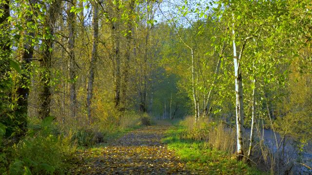 مناظر طبیعت آرامش بخش پاییزی (اپیزود 3) | رنگهای پاییزی 4K