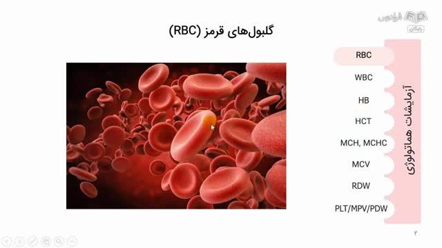 آموزش تفسیر جواب آزمایش خون و خواندن برگه آزمایش
