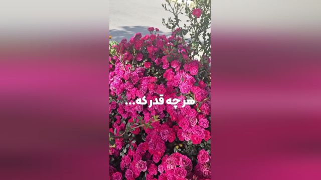 قانونی که باعث شفای روحم شد