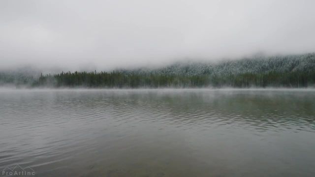 صداهای آرامش بخش آب دریاچه با صدای آواز پرندگان