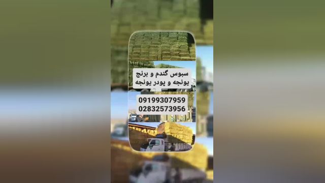 فروش یونجه / فروش سبوس برنج / فروش سبوس گندم