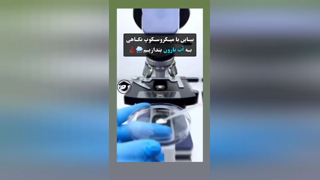 در آب باران چه خبر است؟