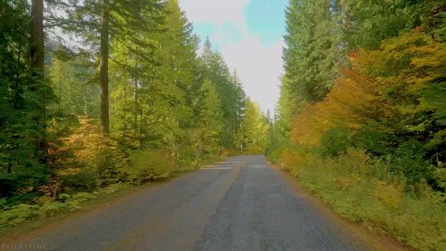 جاده‌ های خوش‌ منظره پاییزی | مناظر کوهستانی خیره‌ کننده و رنگ‌ های شاخ و برگ پاییزی