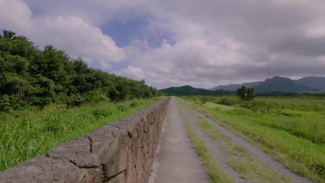تور طبیعت گردی 4k - مسیر مرداب کاواینوی هاوایی