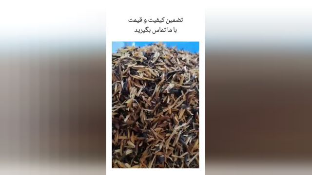 شلتوک نیم سوخته