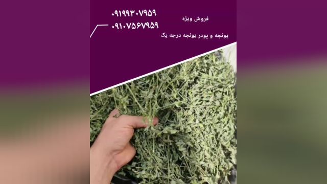 فروش یونجه فروش سبوس فروش پودریونجه