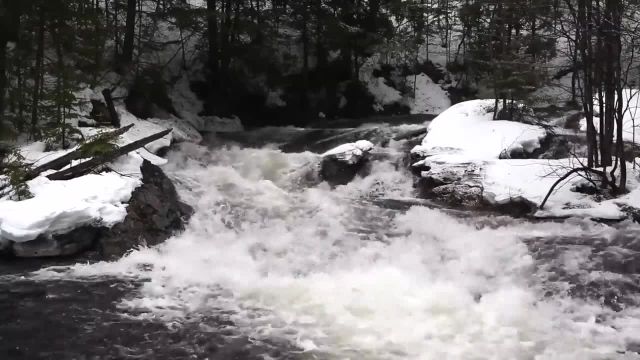 12 ساعت صدای آرامش بخش رودخانه | رودخانه جنگلی زمستانی آرام و جریان ملایم آب
