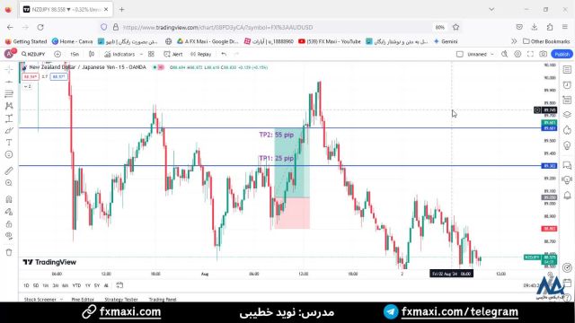 سیگنال ين ژاپن به دلار نیوزلند - کسب سود 55 پیپ از سیگنال VIP فارکس | ویدئو شماره 494