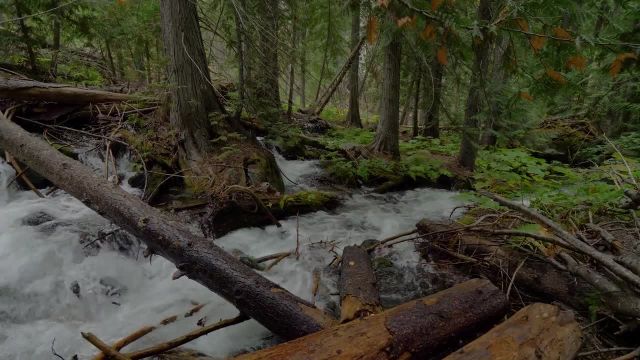آبشارهای جنگلی در دریاچه انچانتمنت 4K | تریلر