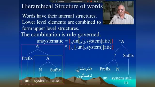آموزش زبانشناسی - ساختار سلسله مراتبی واژه - قسمت 3
