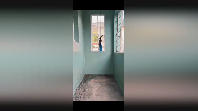 هسته گیر و اسلایسر شرکت تاوریس صنعت