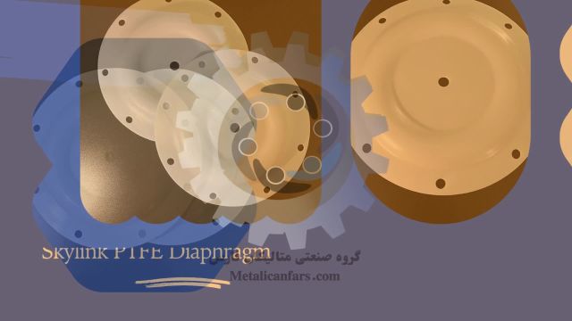 انواع PTFE Diaphragm