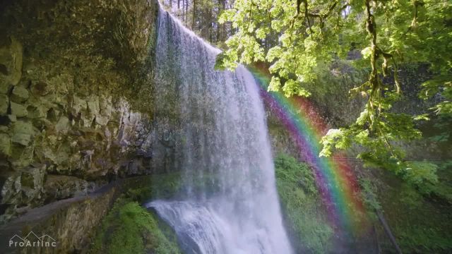 آبشار رنگین کمان | صدای آرامش بخش صبحگاهی جنگل و آب برای بهترین آرامش