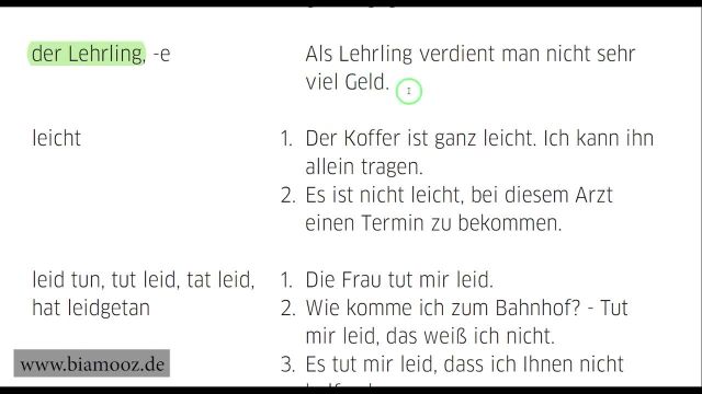 آموزش رایگان زبان آلمانی B1 - ده دقیقه یادگیری لغات آلمانی با مثال - جلسه 60