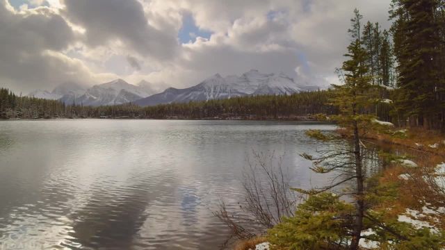 صدای دریاچه کوهستانی و صدای آواز پرندگان برای تمرکز و مطالعه | دریاچه هربرت، کانادا