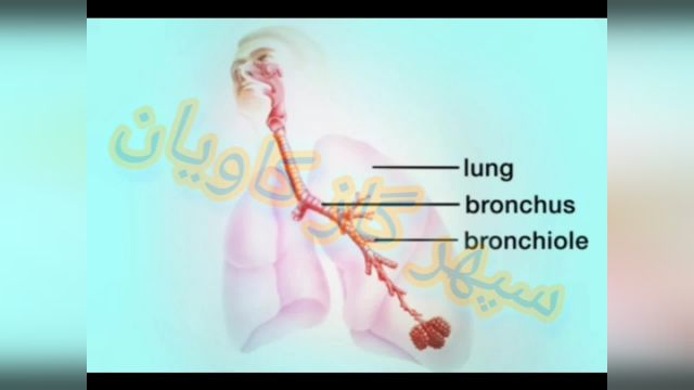 گازهای تنفسی-سپهر گاز کاویان